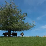 Sigmundenhof Schonach 农家乐 *