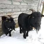 Alojamento de Turismo Rural Sigmundenhof Schonach Schonach im Schwarzwald