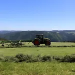 农家乐 Sigmundenhof Schonach Schonach im Schwarzwald