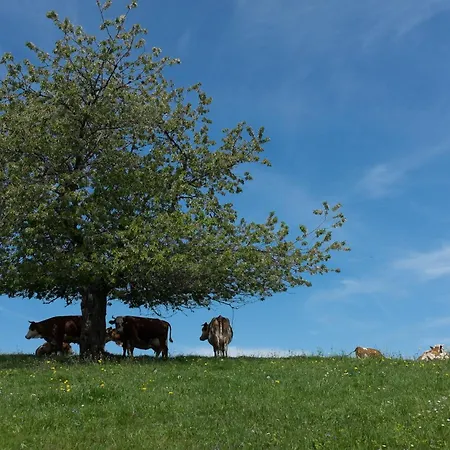 Sigmundenhof Schonach Farma *