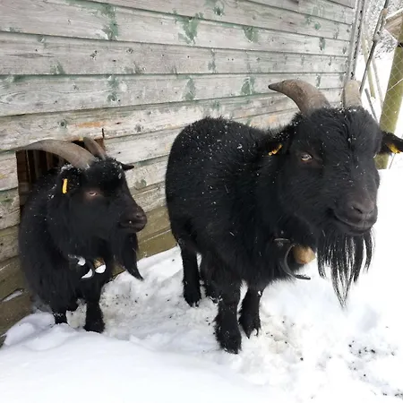 Farma Sigmundenhof Schonach Schonach im Schwarzwald