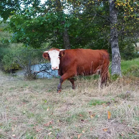 Sigmundenhof Schonach
