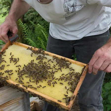 Farma Sigmundenhof Schonach