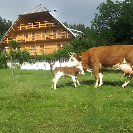 Alojamento de Turismo Rural Sigmundenhof Schonach Schonach im Schwarzwald