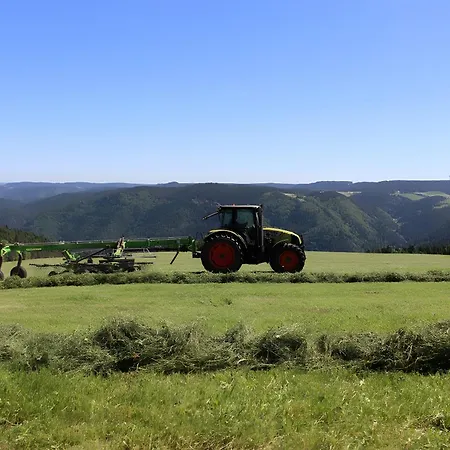 Farma Sigmundenhof Schonach Schonach im Schwarzwald
