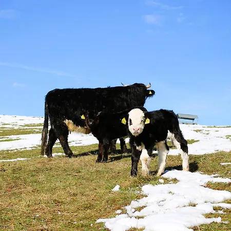 Sigmundenhof Schonach