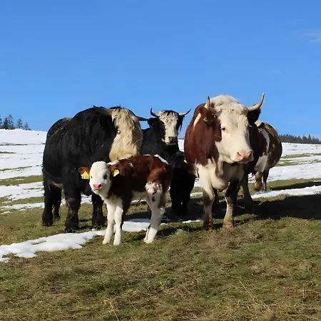 Sigmundenhof Schonach *