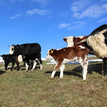 Sigmundenhof Schonach * Schonach im Schwarzwald