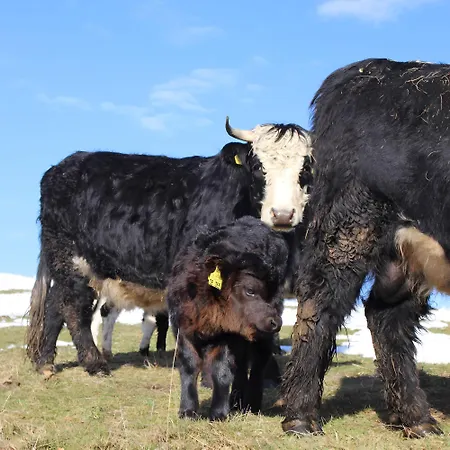 Farma Sigmundenhof Schonach