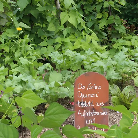Sigmundenhof Schonach *