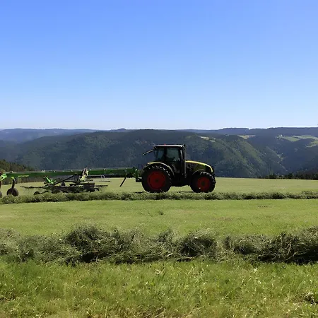 Κατάλυμα σε φάρμα Sigmundenhof Schonach Schonach im Schwarzwald